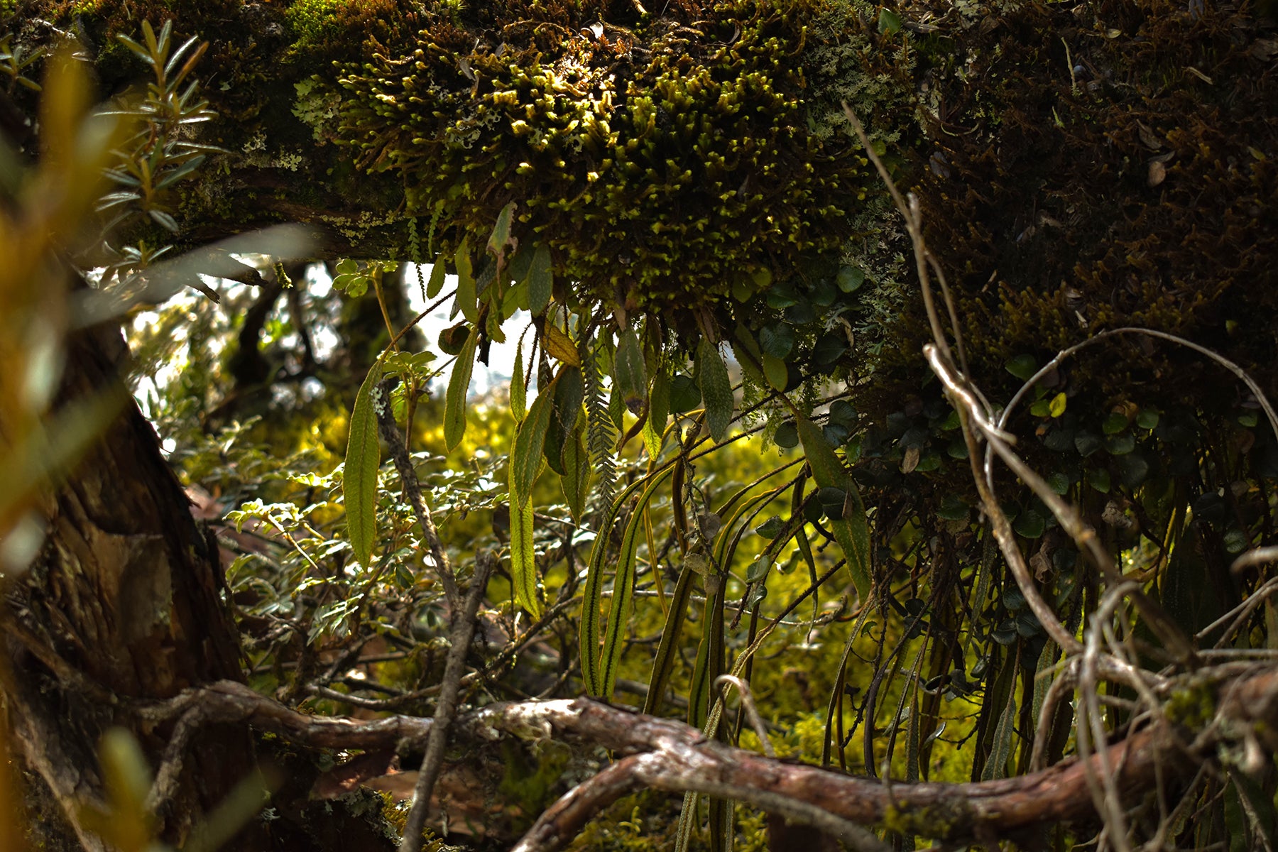 ECUADOR