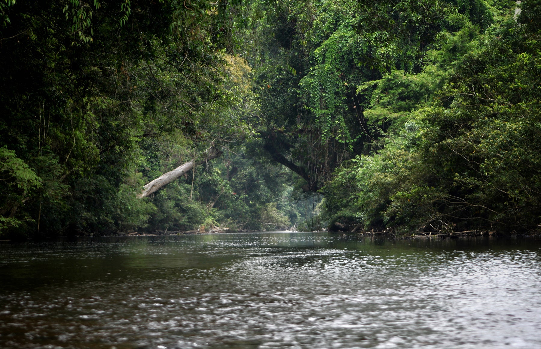 SARAWAK